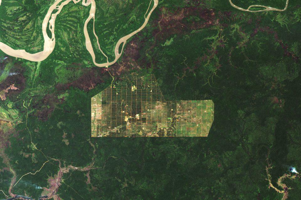 Deforestation continues across Indonesian islands