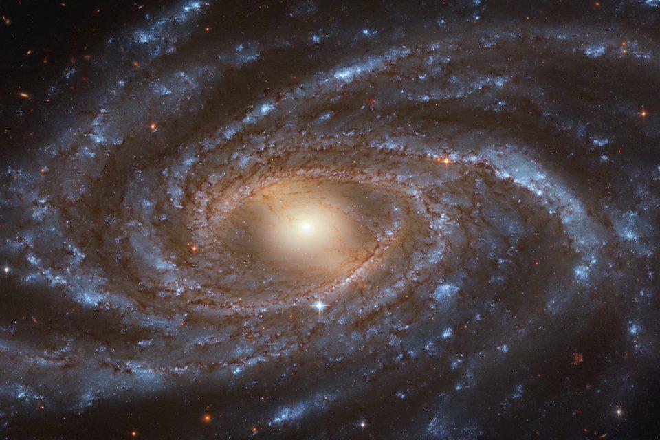 Young blue stars light up the spiral galaxy NGC 2336