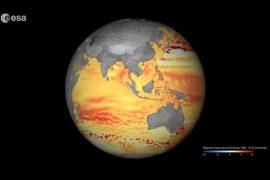 Satellite data helps predict the impacts of climate change