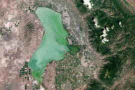 Satellites help keep people safe from algae blooms