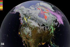 NASA satellites helps track animal movement