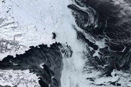 labrador_oli_2021086_lrg2.jpg