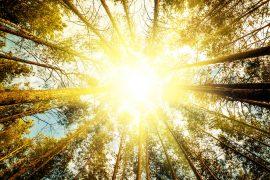 Smart device brings sunlight underground