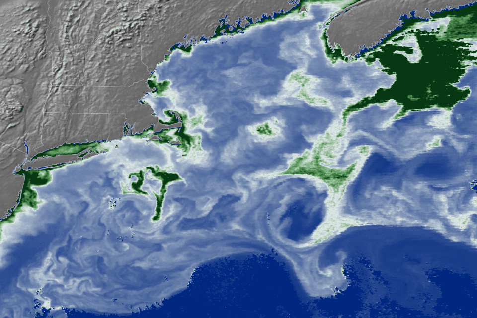 Tracking chlorophyll-a in the North Atlantic