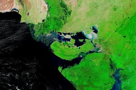 rannofkutch_tmo_2020281_lrg.jpg