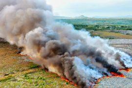 Monitoring deforestation in the Amazon