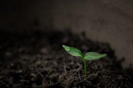 2021/04/green-2551467_1920.jpg