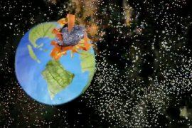 Asteroid impact gave rise to tropical flowering plants