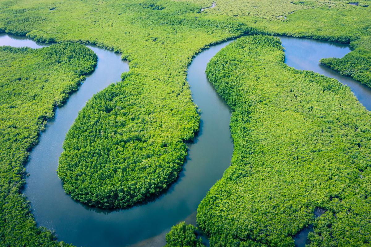 The Amazon River in South America
