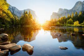 Gel device uses sunlight to purify water