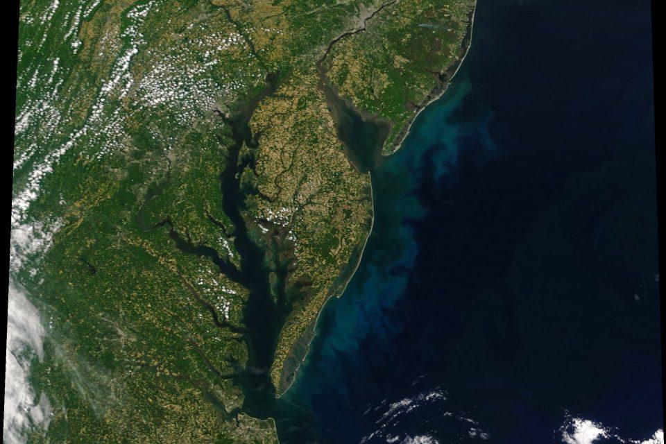 Phytoplankton bloom in the Mid-Atlantic
