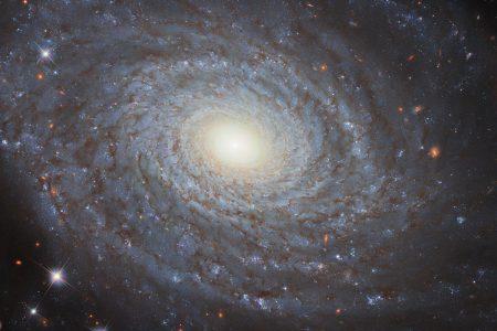 The Eponymous NGC 691