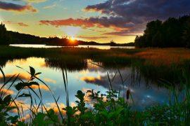 2021/06/lake-5491502_1920.jpg