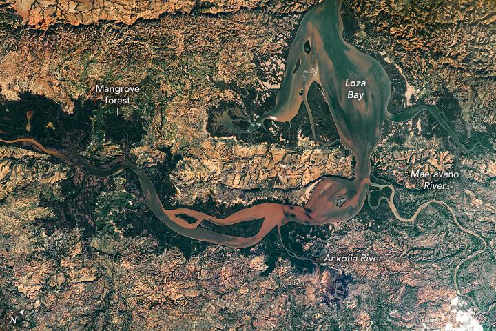 The Loza Bay wetlands in Madagascar