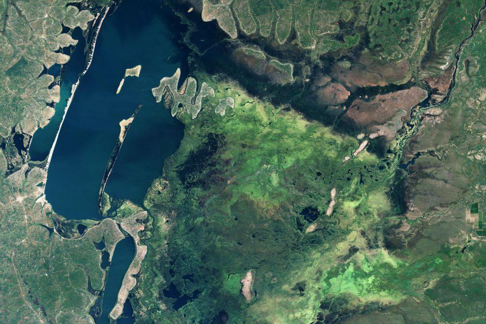The Bangweulu wetlands in northern Zambia
