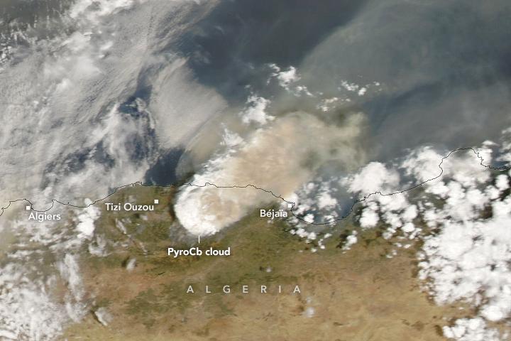Devastating fires claim many lives in Algeria