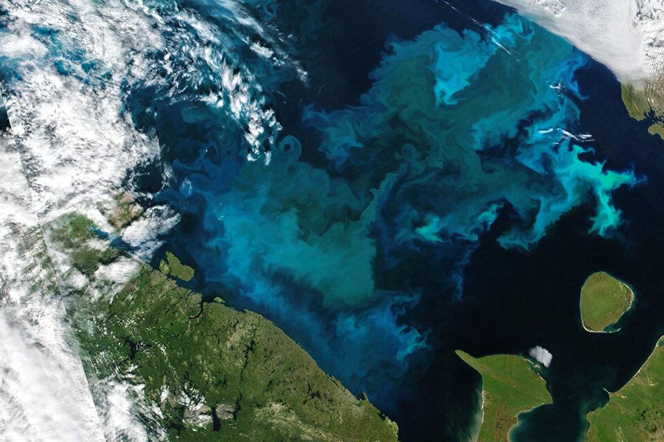 Stunning phytoplankton bloom in the Barents Sea