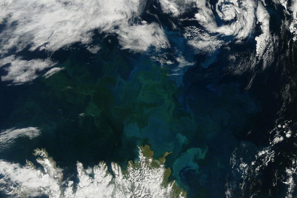 19. Icelandic phytoplankton bloom