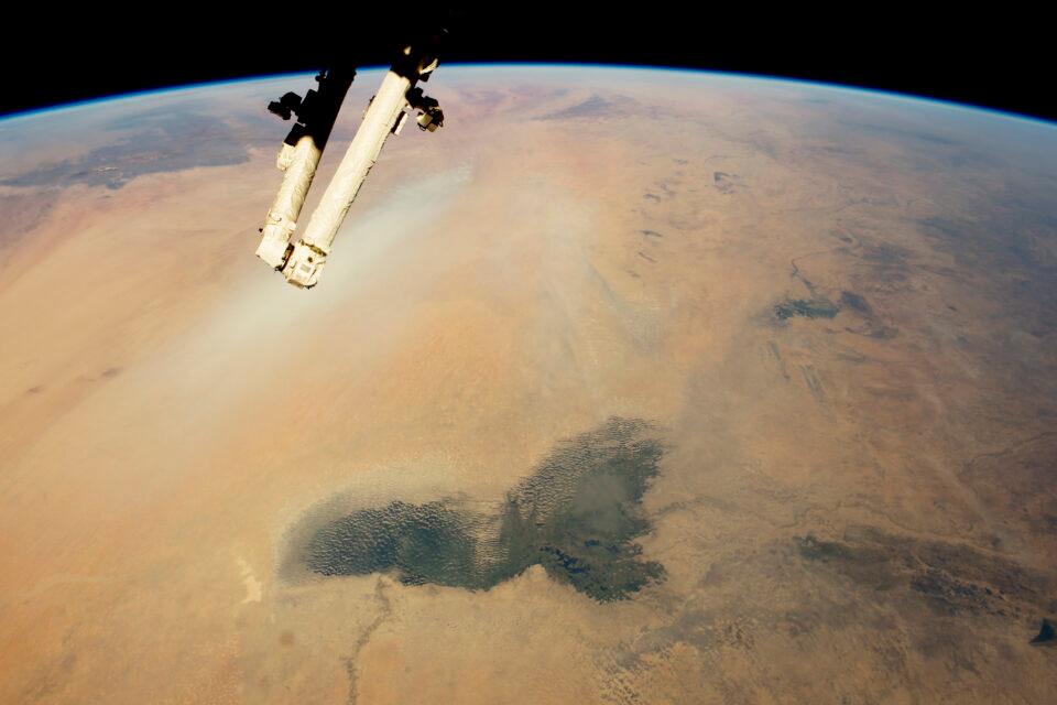 A wooded oasis in the Sahara