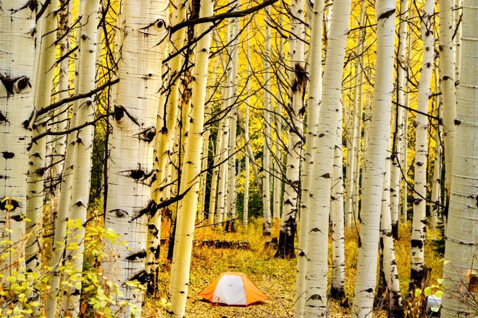 Gunnison National Forest, Colorado