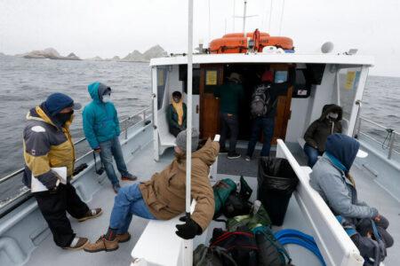 2021/10/visitorstotheFarallonIslands-768w.jpg