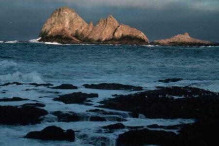 2021/10/rocksofftheFarallonIslands-768w.jpg