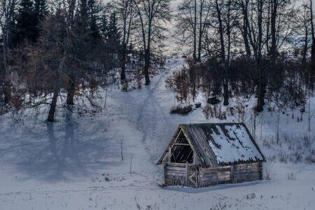 2021/10/winter-3144652_1280-768w.jpg