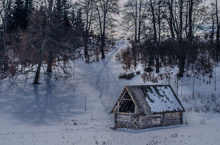 Cozy In The Snow