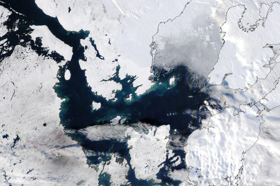 Late season phytoplankton blooms in the Arctic
