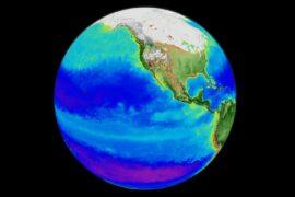 NASA predicts major changes in crop production
