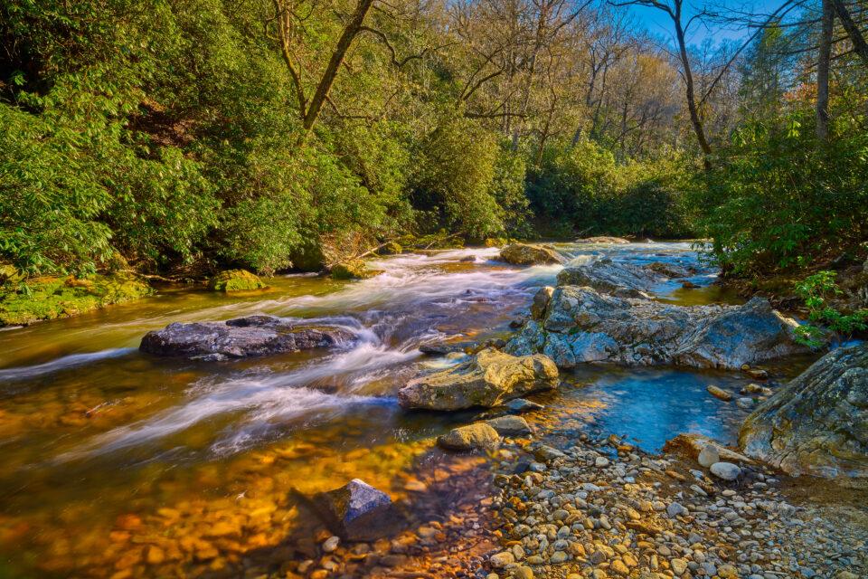 Pisgah National Forest, North Carolina