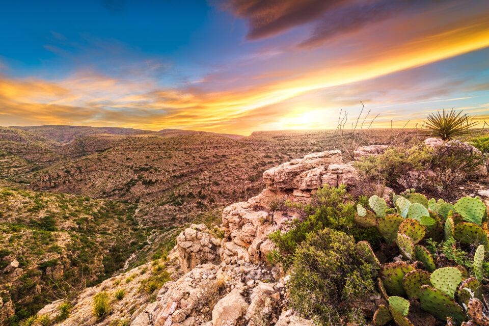 Carlsbad Caverns National Park, New Mexico