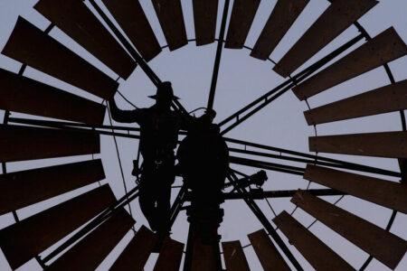 2021/11/WINDMILL-768w.jpg