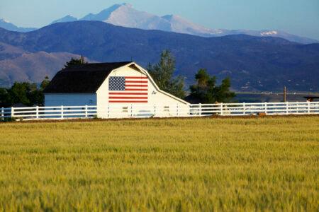 2021/11/farmhouse2-768w.jpg