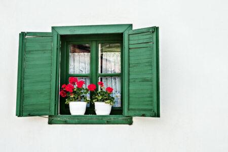 2021/11/emeraldshutters-768w.jpg