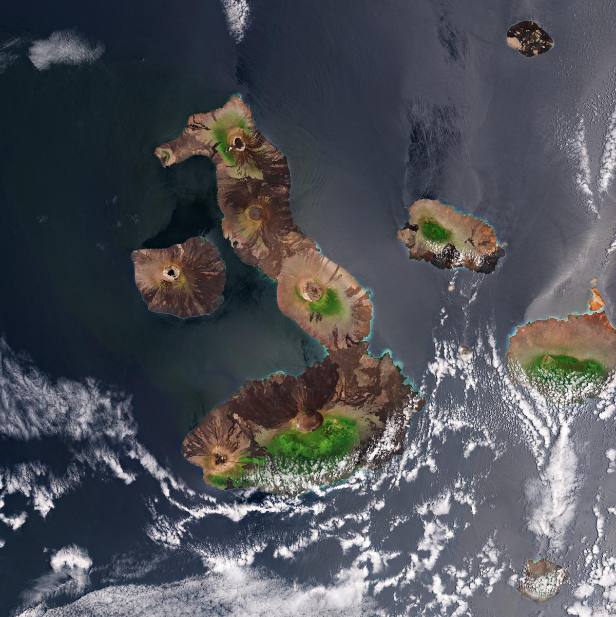 The Galápagos Islands in the eastern Pacific