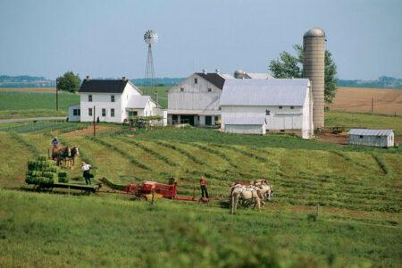 2021/11/AMISHMENWORKINGONAFARM-768w.jpg