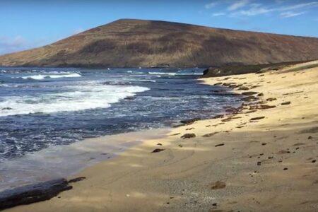 2021/11/Niihau-scenert-768w.jpg