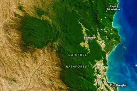 2021/11/daintree_oli_2019248.jpg