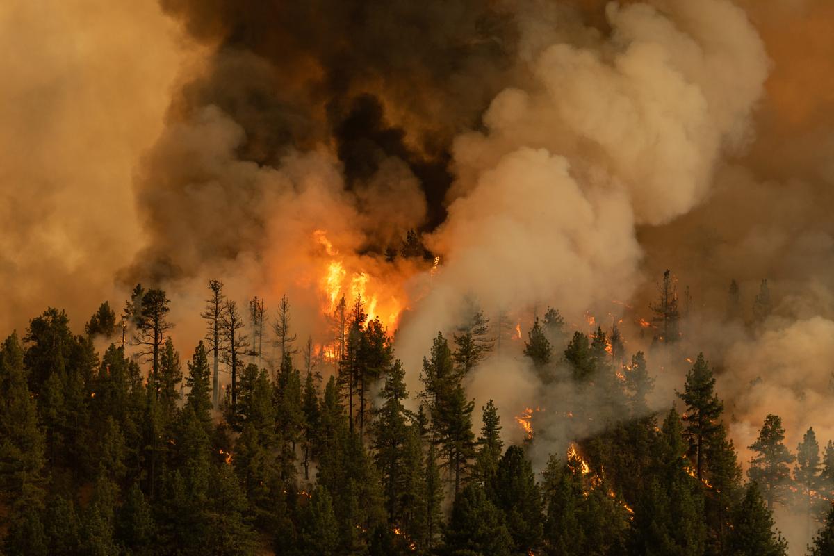 How satellites will help us tackle the climate crisis