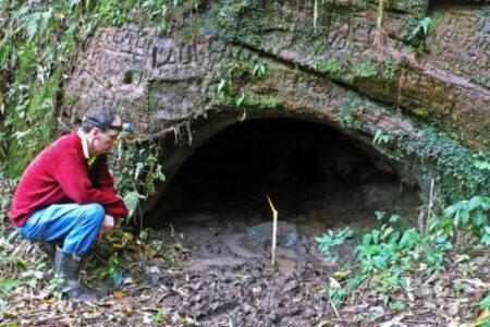 2021/12/paleoburrow-4-768w.jpg
