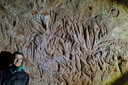 2021/12/paleoburrow-claws-768w.jpg