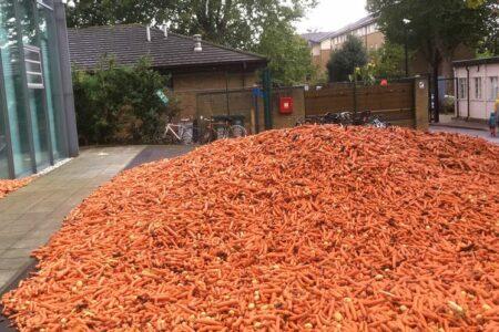 2021/12/carrot-2-768w.jpg