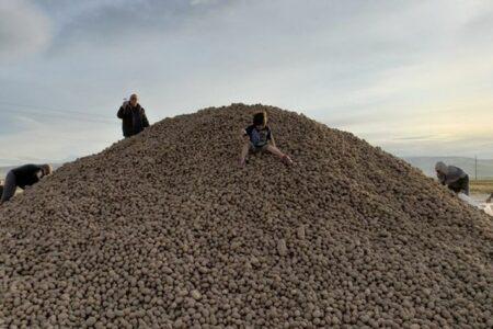 2021/12/potatoes-1-768w.jpg