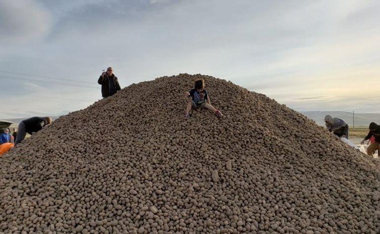 The Act of Dumping