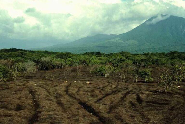 Beginning In Costa Rica