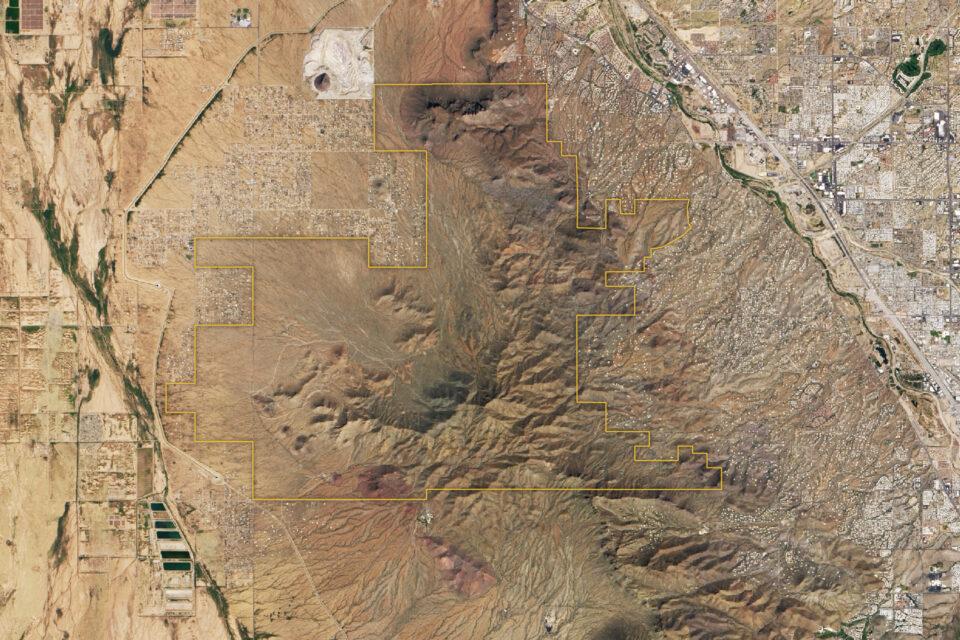 Saguaro National Park in the Sonoran Desert