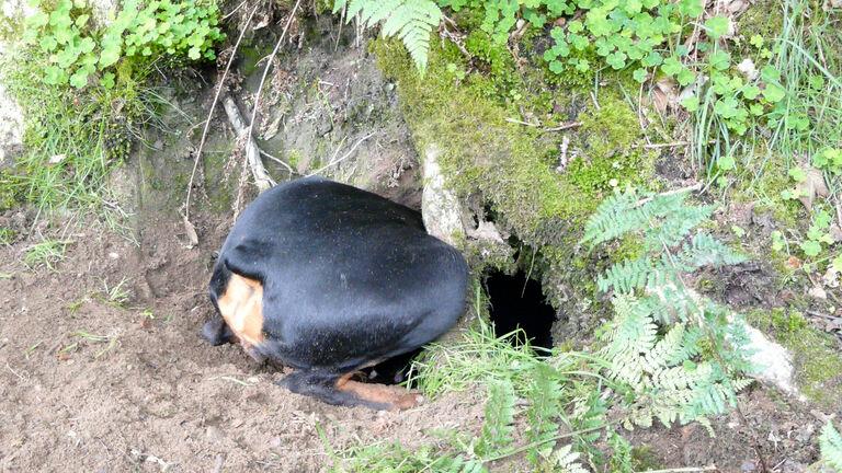 “Digging a hole”