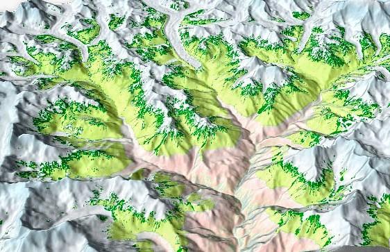 Vegetation is expanding across the Himalayas