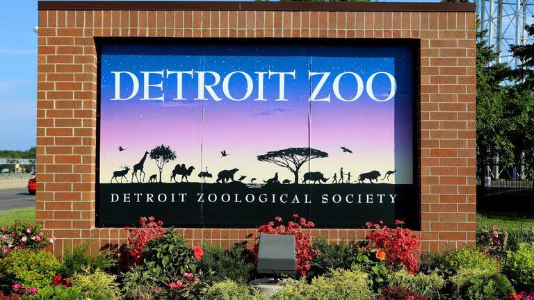 Moving to Detroit
